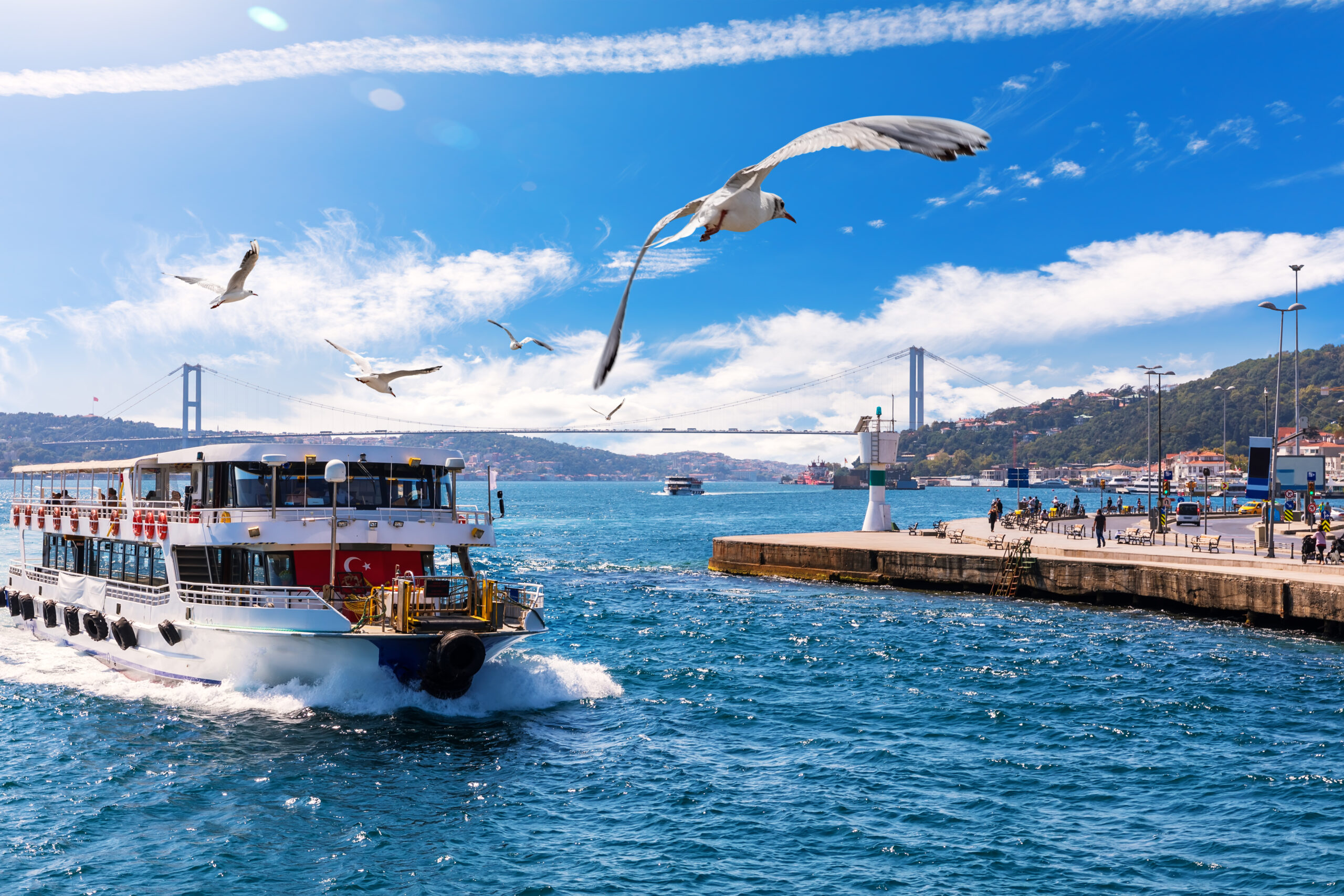 Ship is sailing near the Bosphorus bridge with seagulls around it, Istanbul.